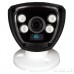 Видеокамера гибридная уличная Green Vision GV-042-GHD-H-COA20-80 1080Р (LP4638)