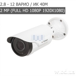 Видеокамера AHD уличная Tecsar AHDW-40V2M (Full HD 1080P)