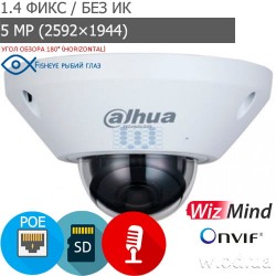 Панорамная антивандальная IP видеокамера Fisheye 5 Мп Dahua DH-IPC-EB5541-AS WizMind