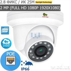 Купольная IP камера Partizan 2.0MP IPD-2SP-IR 3.0 Cloud (Full HD 1080P)