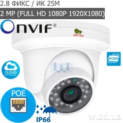 Купольная IP камера Partizan 2.0MP IPD-2SP-IR SE 2.3 Cloud (Full HD 1080P)