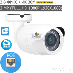 Уличная IP камера Partizan 2.0MP IPO-2SP 3.6 Cloud (Full HD 1080P)